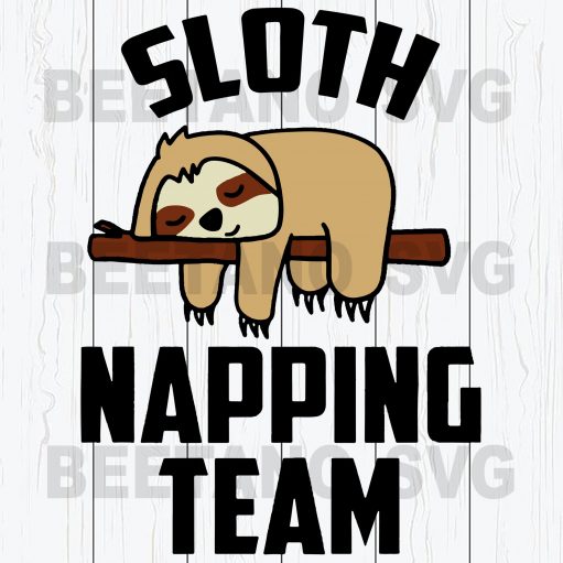 Sloth Napping Team