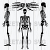 Skeleton Cutting Files For Cricut, Svg, Dxf, Eps, Png Instant Download