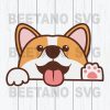 Funny Face Dog