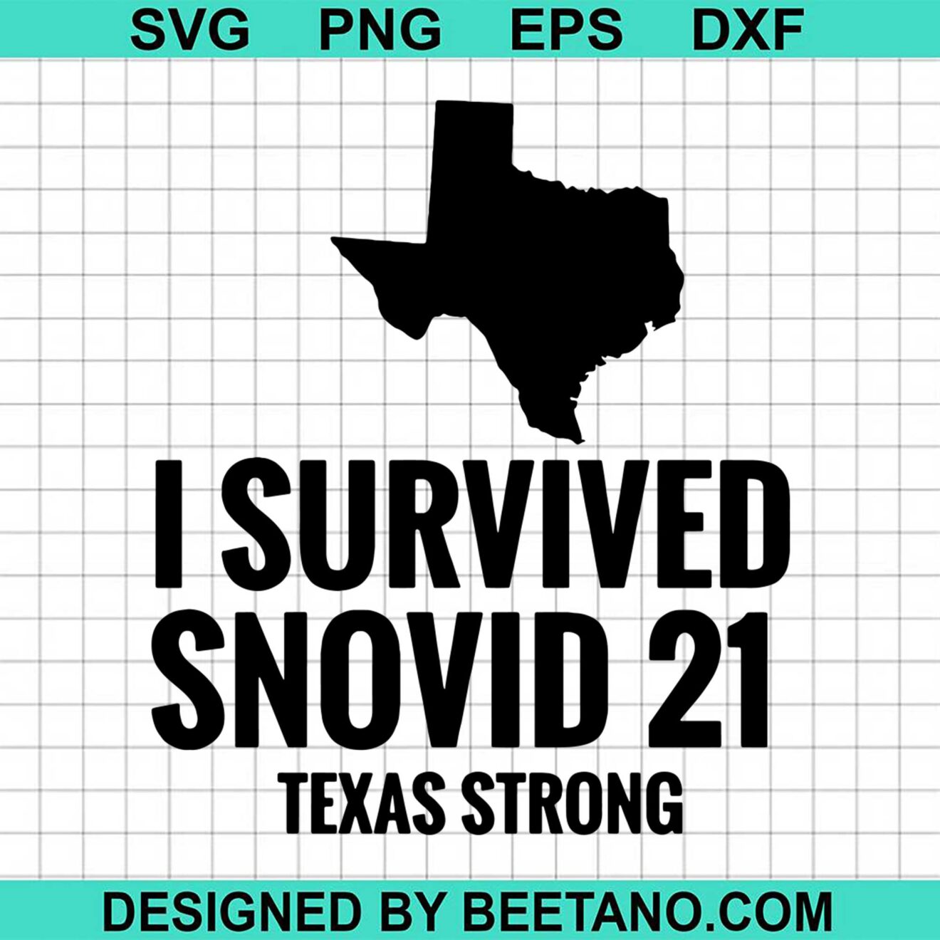 I Survived Snovid 2021