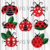 Ladybug Svg, Ladybug Clipart, Ladybug Cutting File, Ladybug File For Cricut, Ladybug Bundle Svg