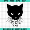 Black Black Cat