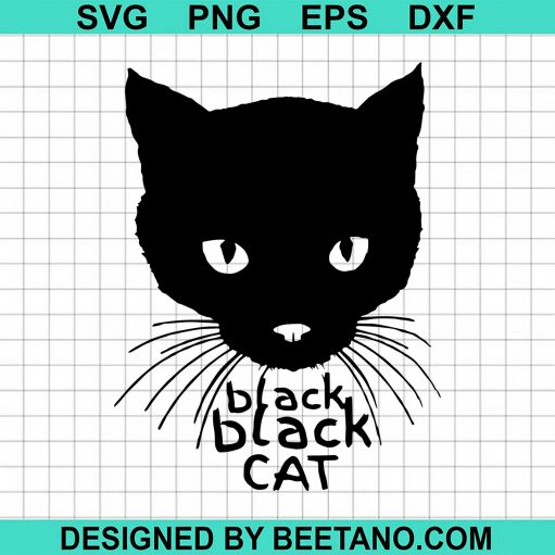 Black Black Cat