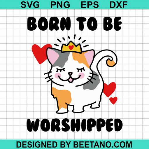 Born To Be Worshipped 2020