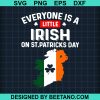 Everyone Is A Little Irish On St Patricks Day Ireland Flag Svg