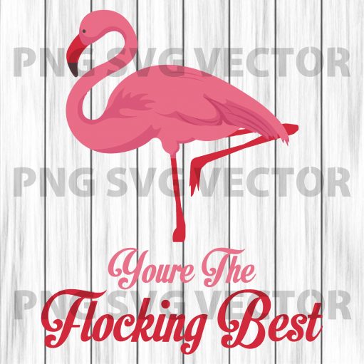 You're flocking best Flamingo