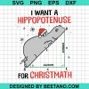 I Want A Hippopotamus For Christmas