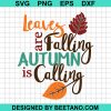 Leaves Are Falling Autumn Is Calling