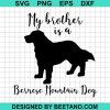 My Brother Is A Bernese Mountain Dog