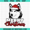 Perfect Merry Christmas Siberian Husky Dog 2020