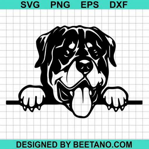 Rottweiler Dog