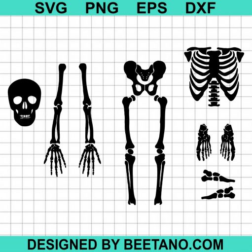 Skeleton Parts