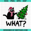 Santa Black Cat What Christmas 2020