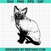 Siamese Cat