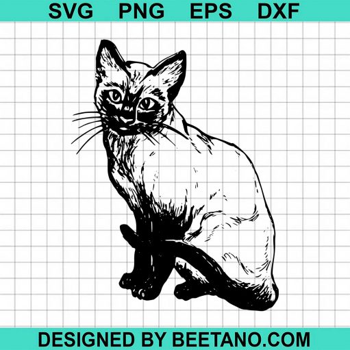 Siamese Cat