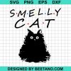 Smelly Fluffy Cat