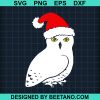 Snowy Owl Santa Claus 2020