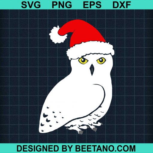 Snowy Owl Santa Claus 2020