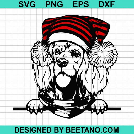 Ugly Dog Stock 2020