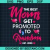 The Best Moms Get Promoted To Grandma Svg
