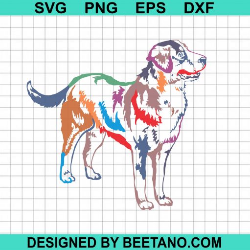 color dog