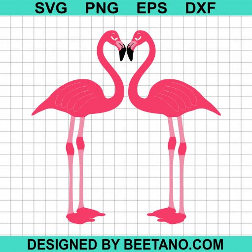 flamingo couple