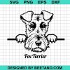 Fox Terrier