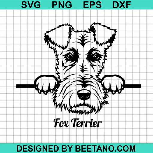 Fox terrier