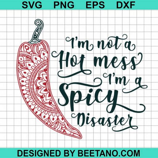 Im not a hot mess im a spicy disaster