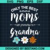 Only The Best Moms Get Promoted To Grandma