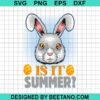 Is It Summer Svg