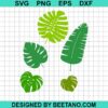 Tropical Leaf Svg