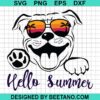 Pitbull Hello Summer Svg