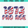 American Flag 1973 Pro Roe Svg