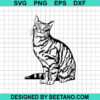 Tabby Cat SVG