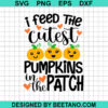 I Feel The Cutest Pumpkins In The Patch SVG