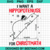 I Want A Hippopotenuse For Christmath Svg