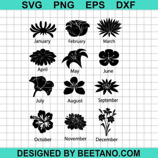 Birth month flowers SVG