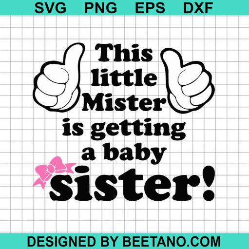 This little mister is getting a baby sister SVG