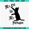 My Cat Is My Patronus Svg